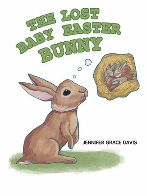 cover image of The Lost Baby Easter Bunny
